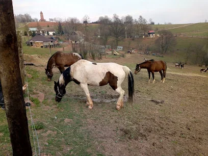 Ośrodek jazdy konnej Overo (Rancho Overo)